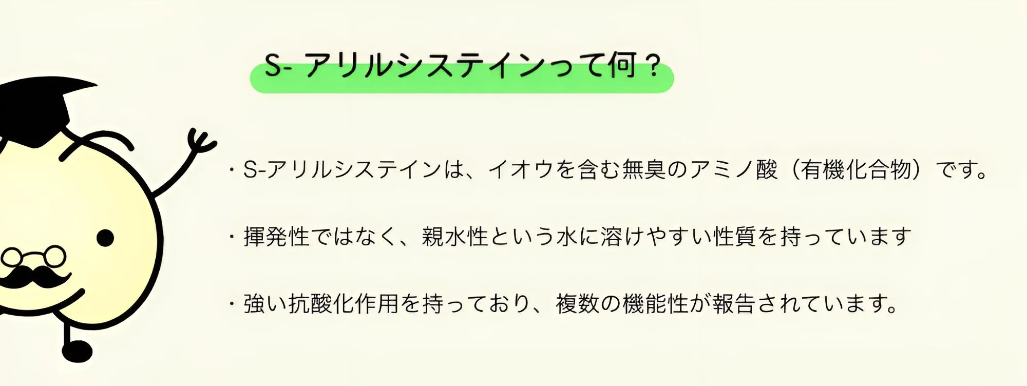 S-アリルシステインの性質（無臭のアミノ酸・親水性・強い抗酸化作用）