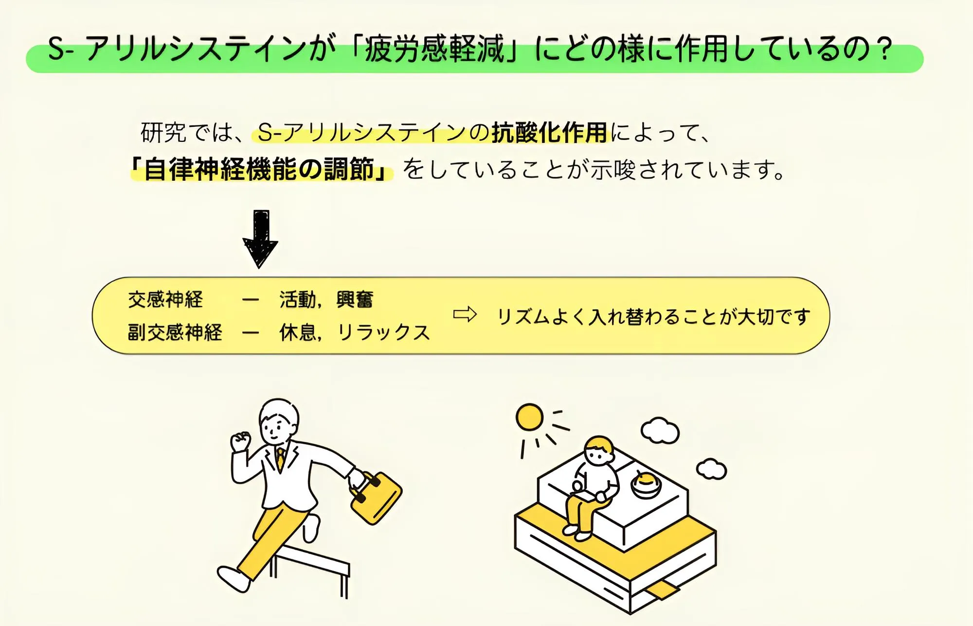 S-アリルシステインの抗酸化作用が「自律神経の調節」をしていることが示唆されています